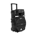 PARLANTE 12'' - MOD FS-1204 - ONLY HAWAI - Imagen 2