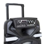 PARLANTE 12'' - MOD FS-1204 - ONLY HAWAI - Imagen 3