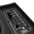 PARLANTE 8'' - MOD FS-802 - CANCUN - Imagen 2