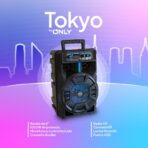 PARLANTE 8'' - MOD FS-808 - ONLY TOKYO - Imagen 4