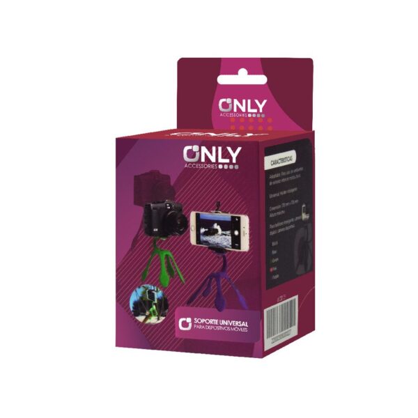 CAR HOLDER MOD 27 - SUMMER