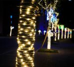 TIRA DE LUCES PARA EXTERIOR 10 MTS USB MODV-003I - VARIOS - BLANCO - Imagen 2